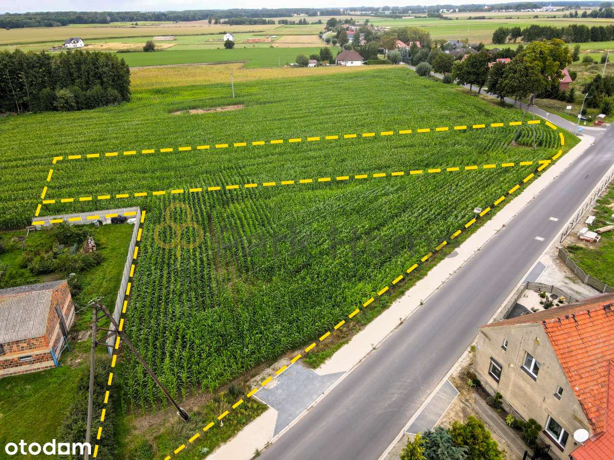Zbuduj swój biznes 10 min. od Leszna! - Pełny obrazek: 5/10