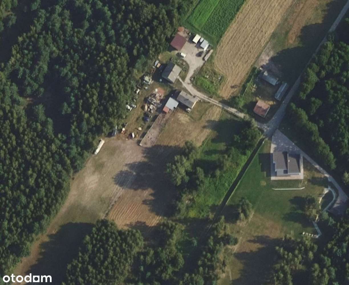 Urokliwa okolica leśny klimat super dojazd Warszwa-0