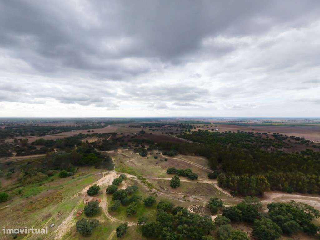 TERRENO DE 22,45 HA COM RUÍNA DE 240 M² PARA RECUPERAÇÃO EM FERREIR...-10