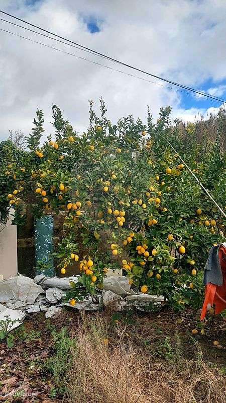 Terreno  para venda - Grande imagem: 2/43