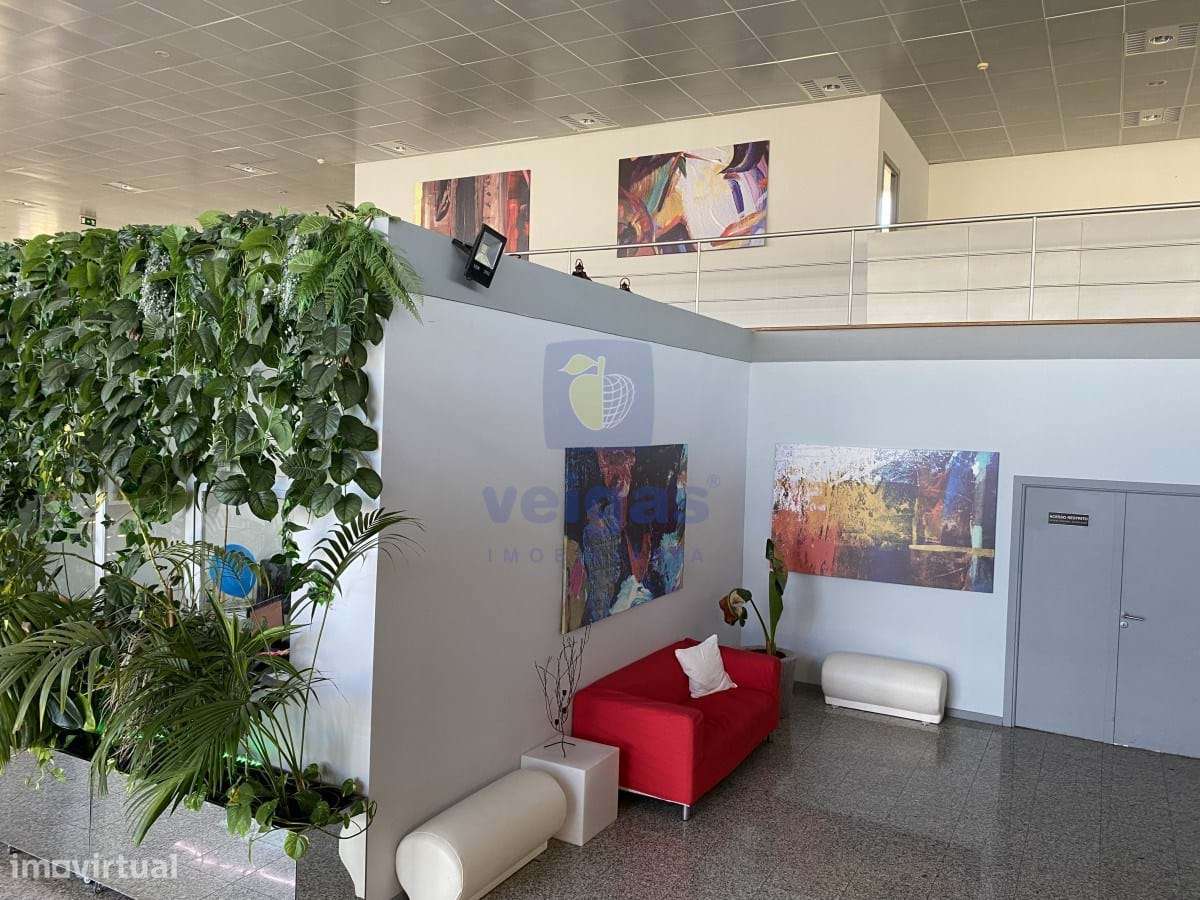 Loja Santarém - Grande imagem: 2/26