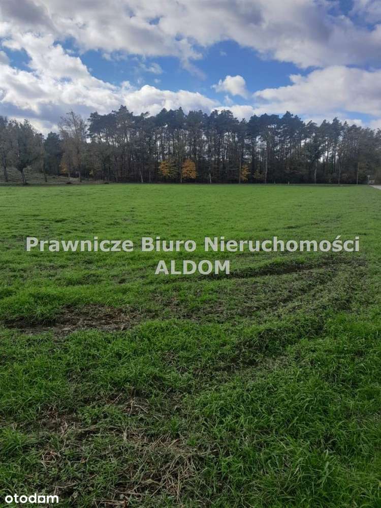 Działka zagrodowa Dylaki-0