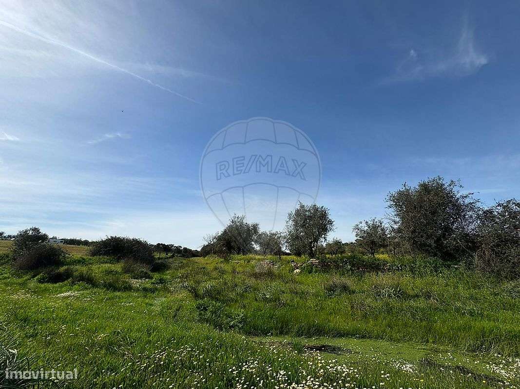 Terreno  para venda - Grande imagem: 4/4