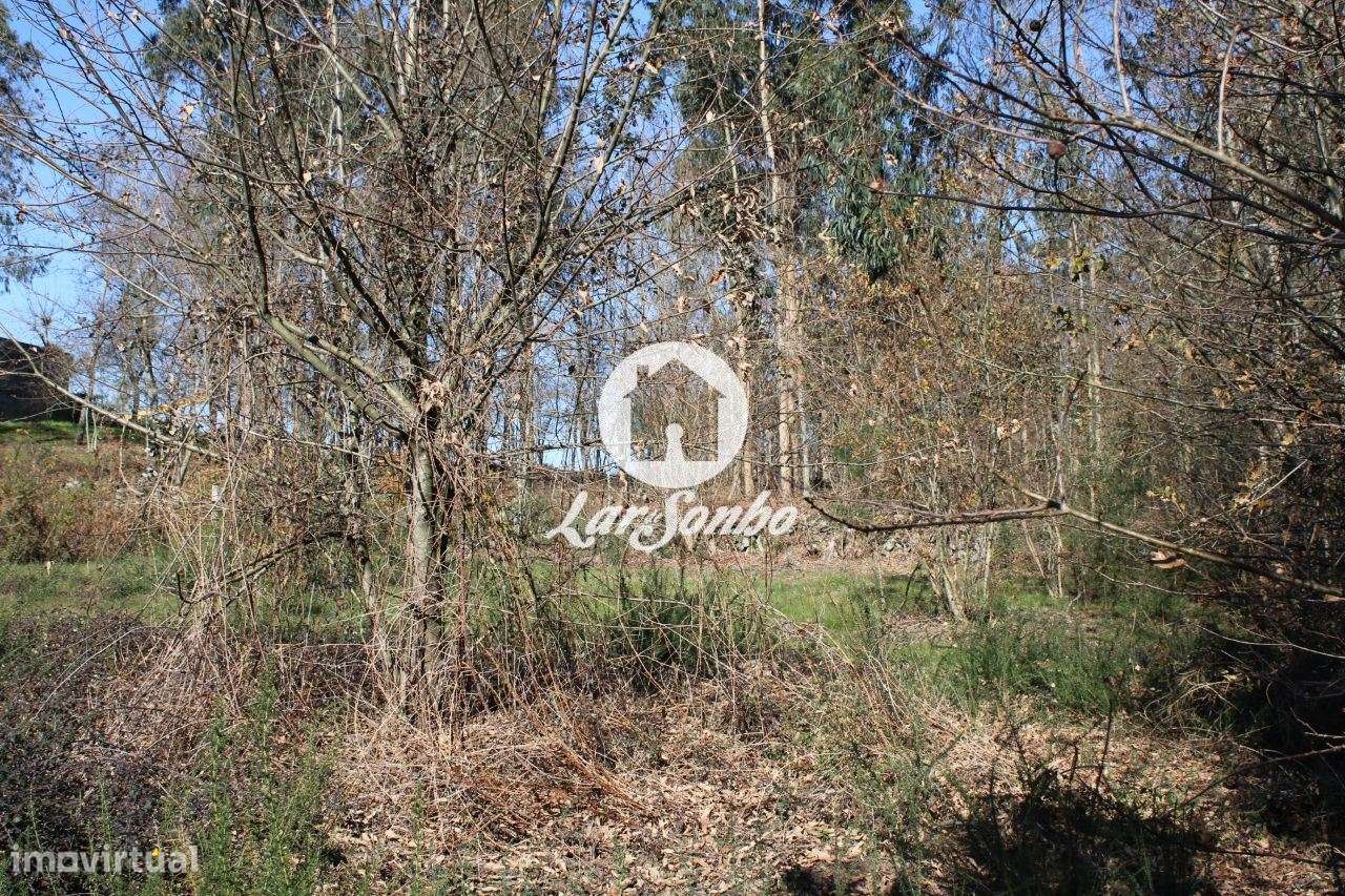 Terreno para construção em Barcelos - Grande imagem: 5/20