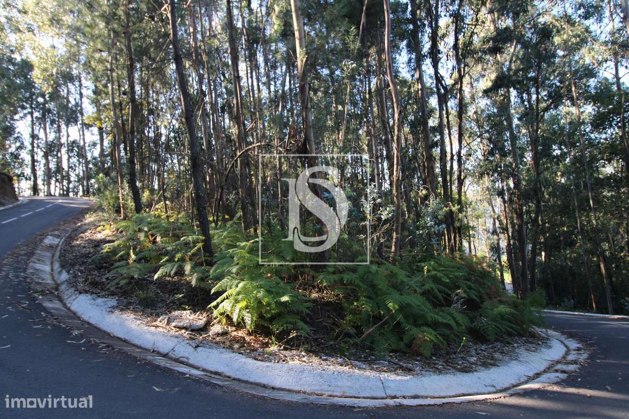 Terreno Venda em Rebordelo,Amarante - Mais