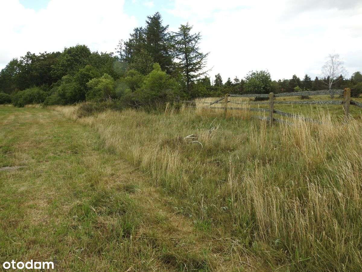 5 km do Łeby - Pełny obrazek: 4/10