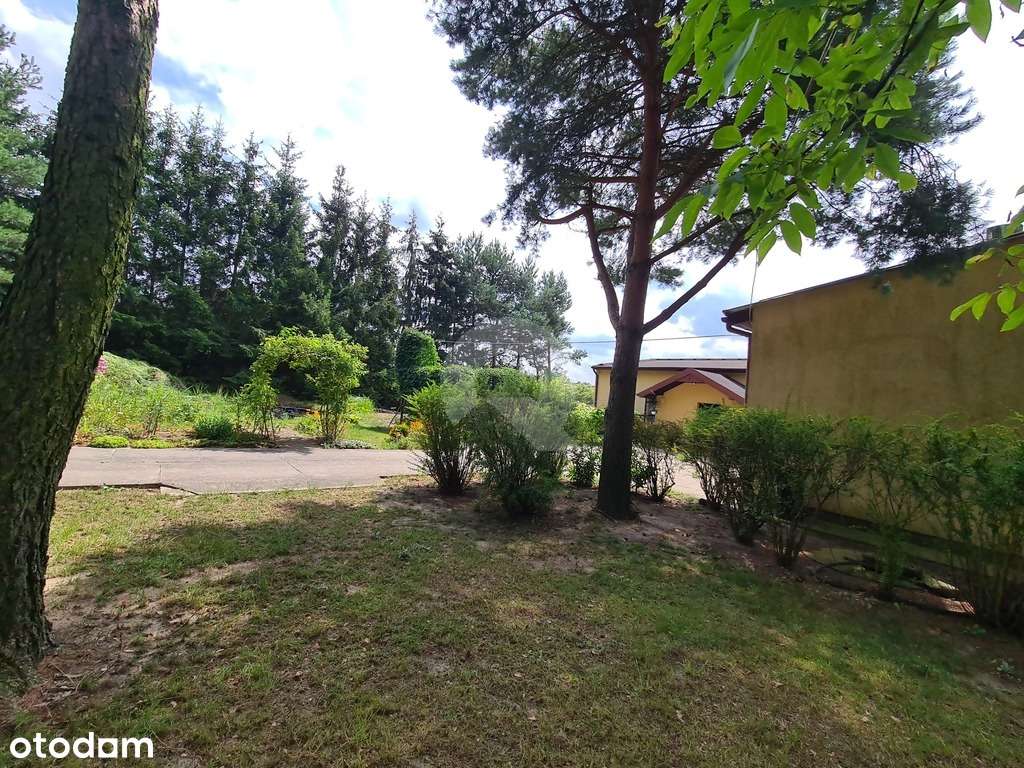 Grzmiąca gmina Żabia Wola dom  na działce  13800m2-8