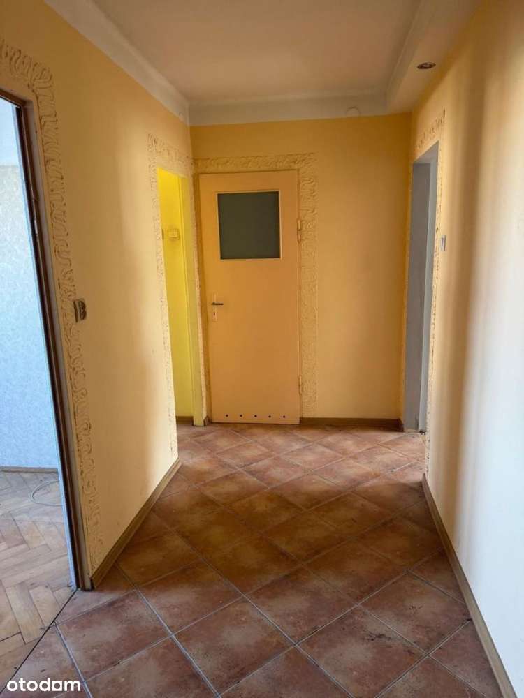 Tuż przy parku !-10