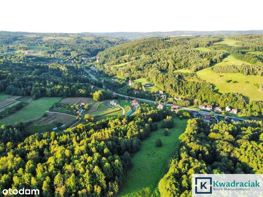 Działka w Lutczy idealna pod Inwestycję – 4,48 ha-5