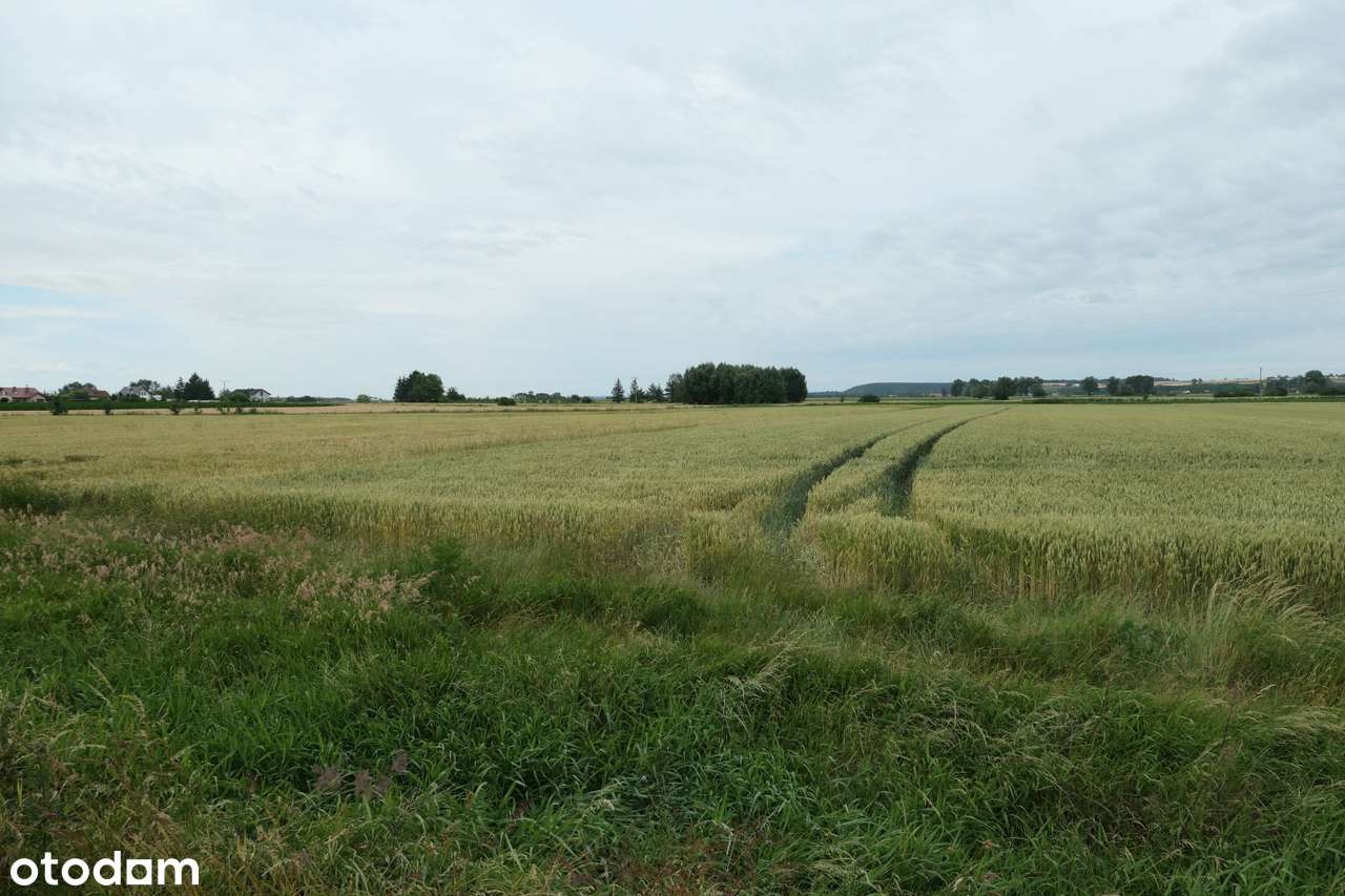 Działka z warunkami zabudowy | Mareza - Pełny obrazek: 3/8