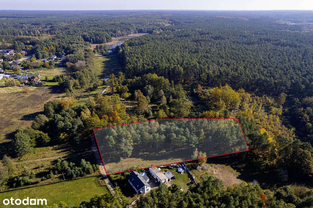 Las na własność, dom na wyłączność!-12