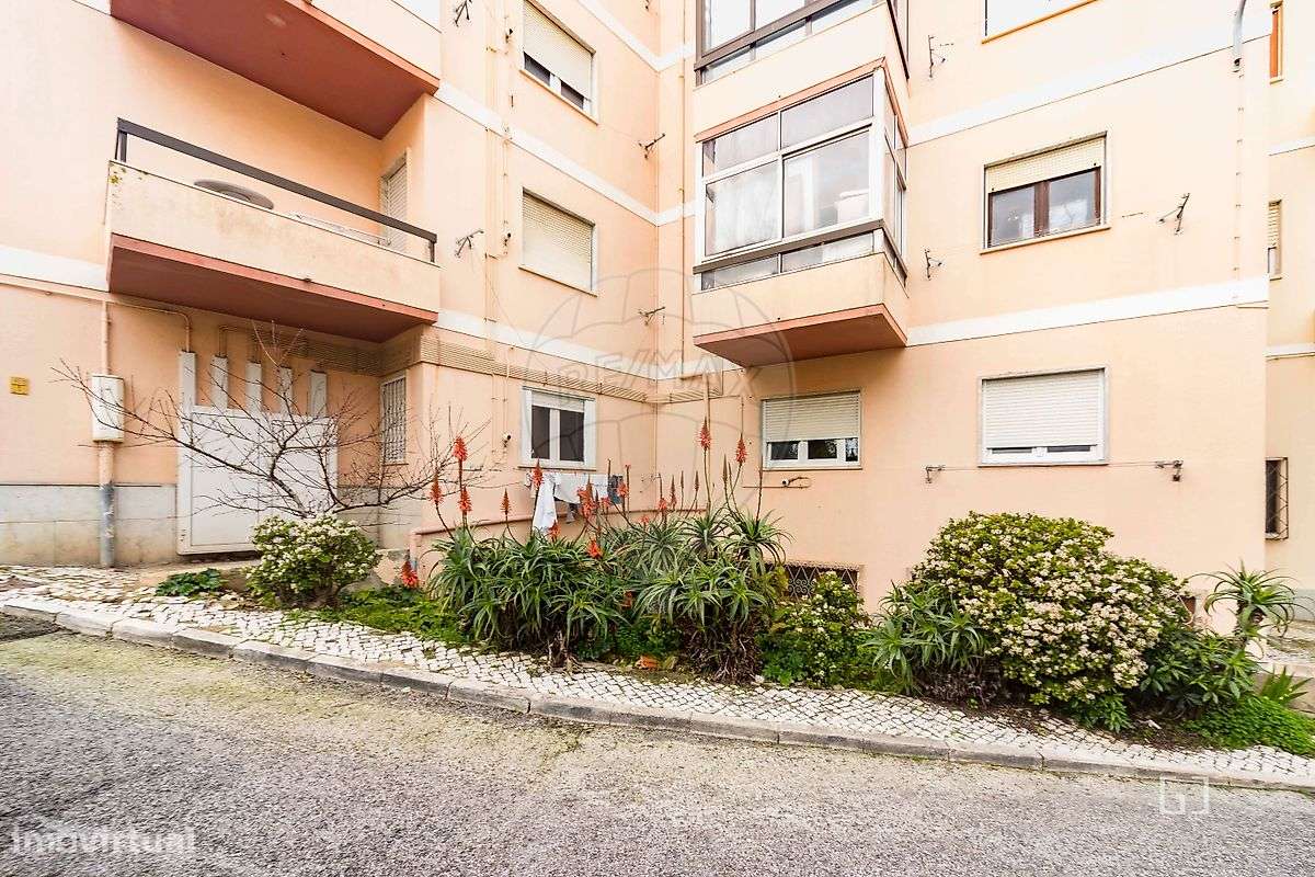 Arrecadação T0 para venda-6