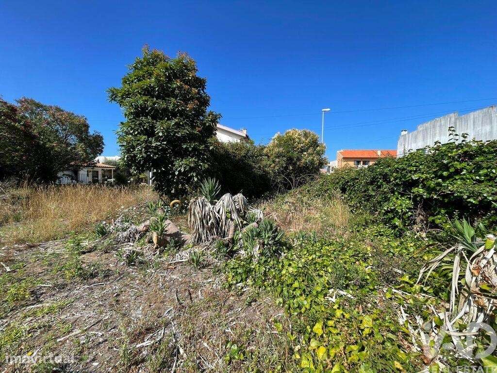 Terreno T3 em Esposende, Marinhas e Gandra de 480,00 m2 - Grande imagem: 4/18