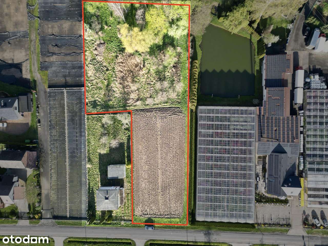 Pakiet 3 działek z naturalnym zagajnikiem - Pełny obrazek: 4/9