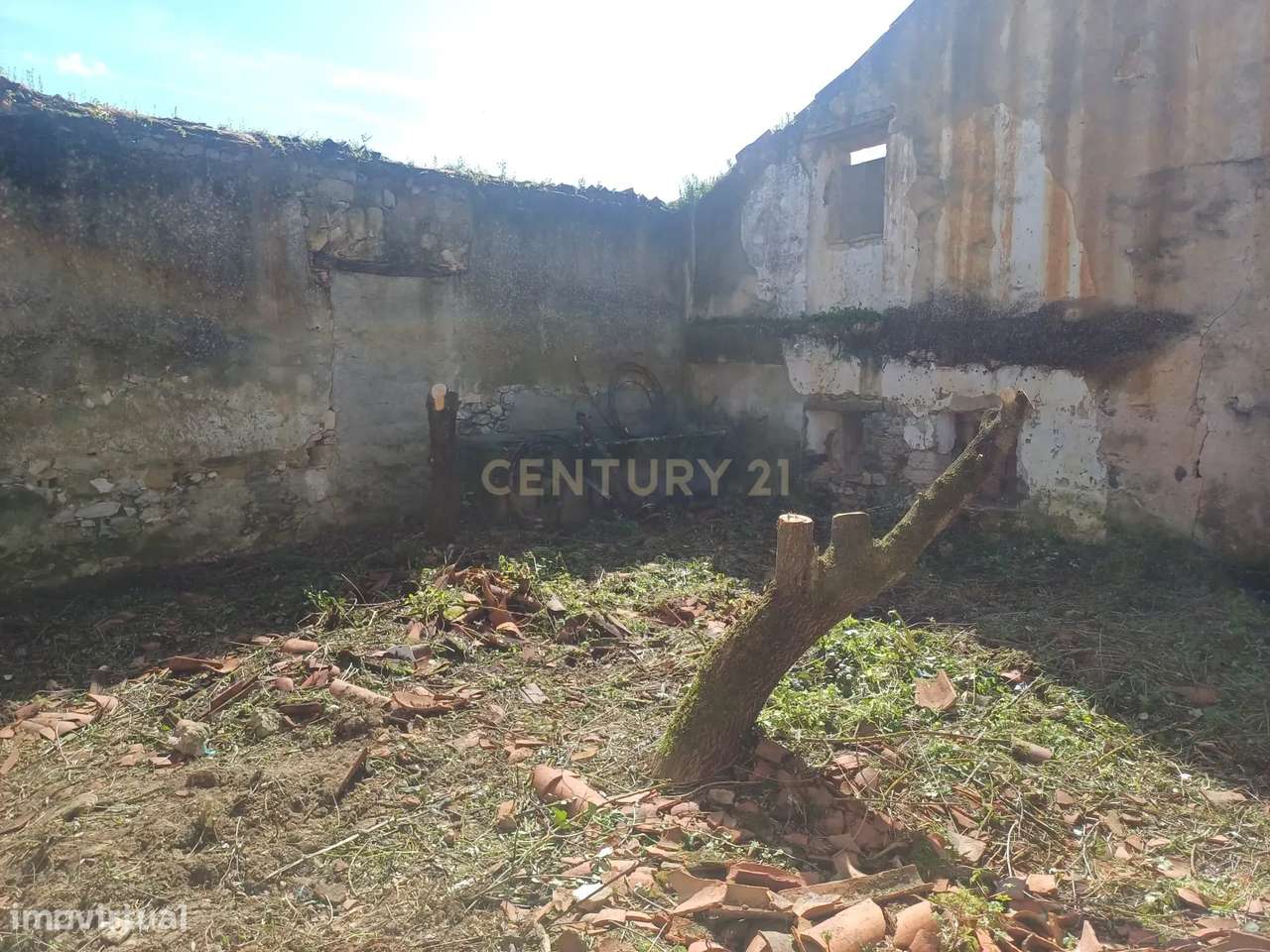 Arrecadação em terreno urbano em Almoster - Grande imagem: 5/6