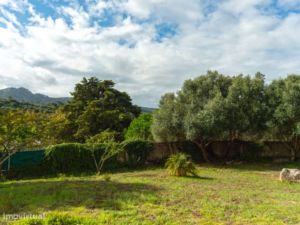 Moradia, jardim vista Serra, Cabriz-Sintra-25