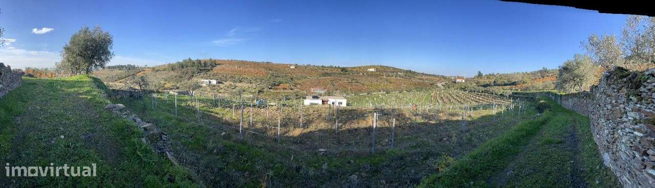 Moradia, 114 m², Barcos e Santa Leocádia-49