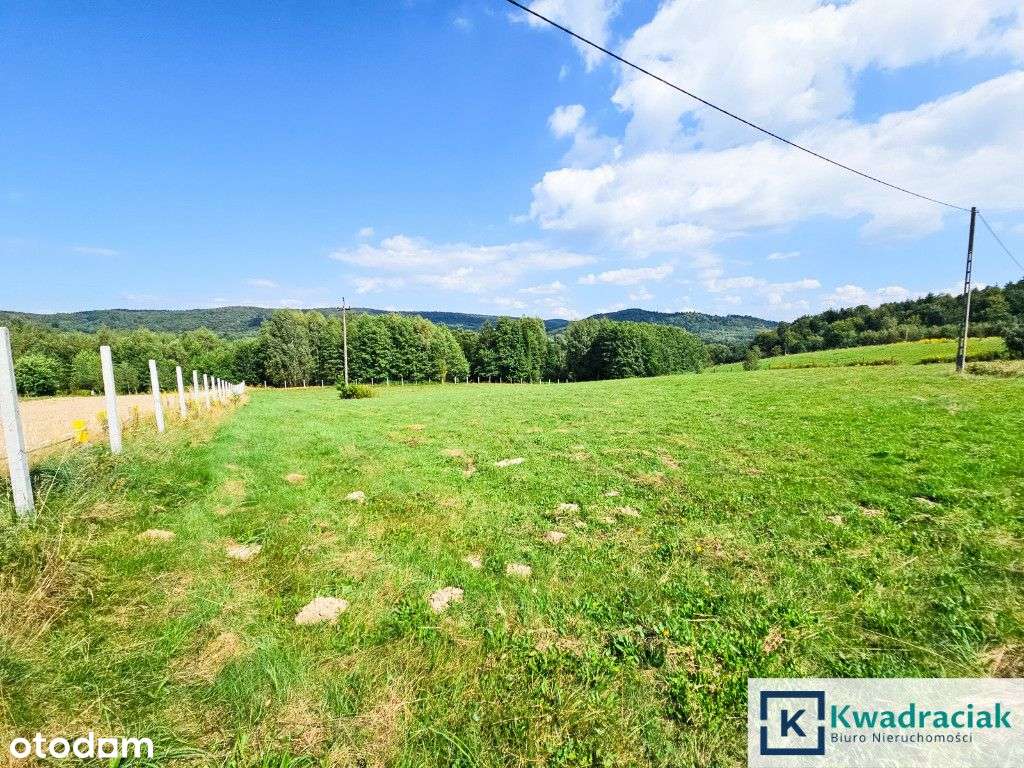 Huta Gogołowska – działki z widokiem, Wz, mediami.-11