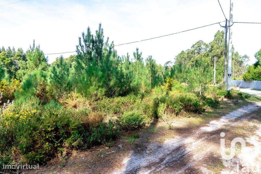 Terreno Agrícola em Marinha Grande - Grande imagem: 5/6