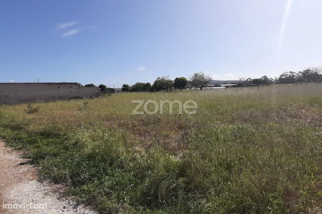 Terreno 1390 m2 | Ereira | Montemor-o-Velho