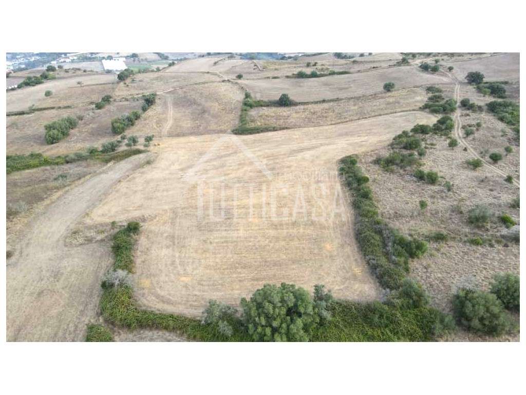 Terreno Rústico na Póvoa da Galega - Grande imagem: 4/10
