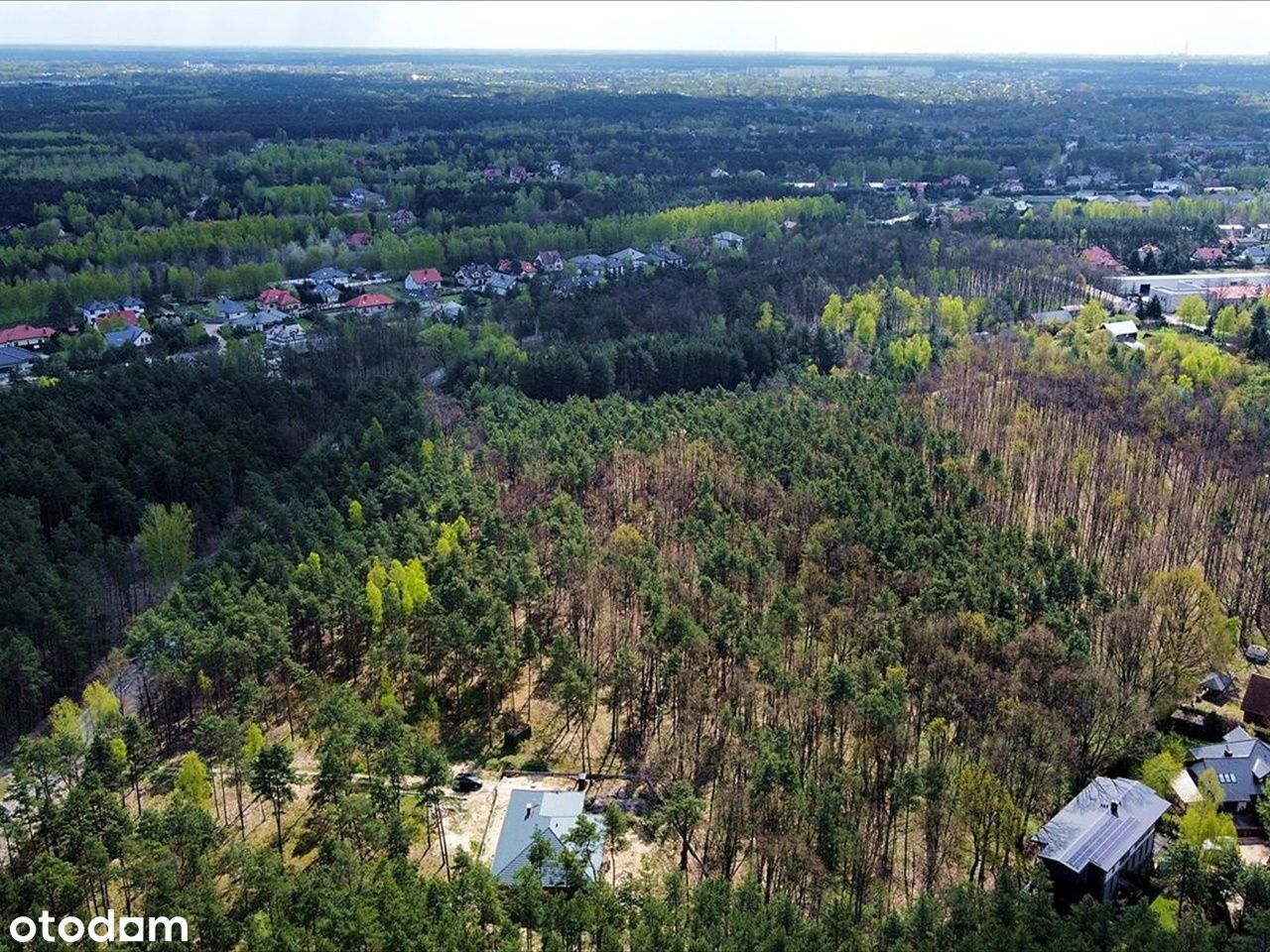 Działka 1500 m2. Dąbrowa Chotomowska