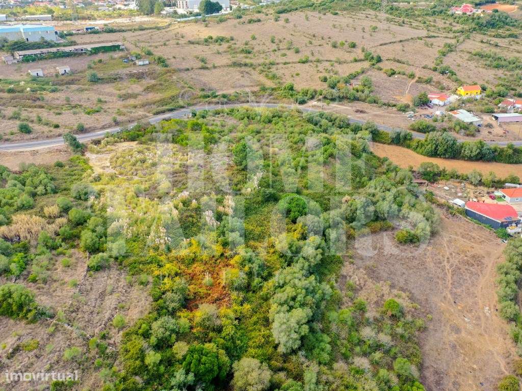 Terreno Rústico à Venda - Campitos - Grande imagem: 4/8