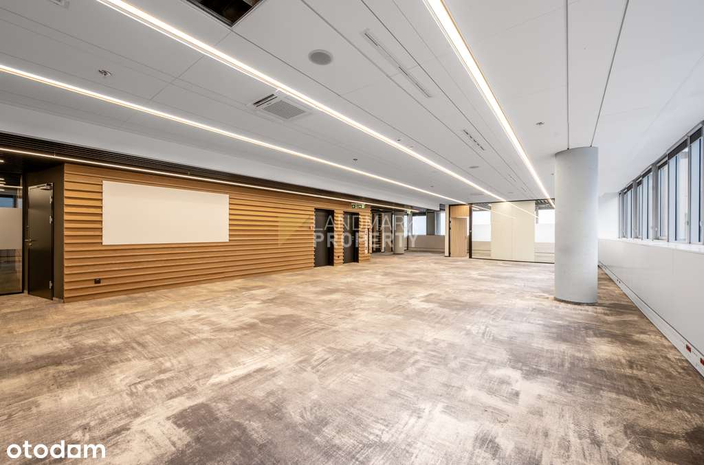 Lokal biurowy w świetnej lokalizacji i cenie - Pełny obrazek: 3/8