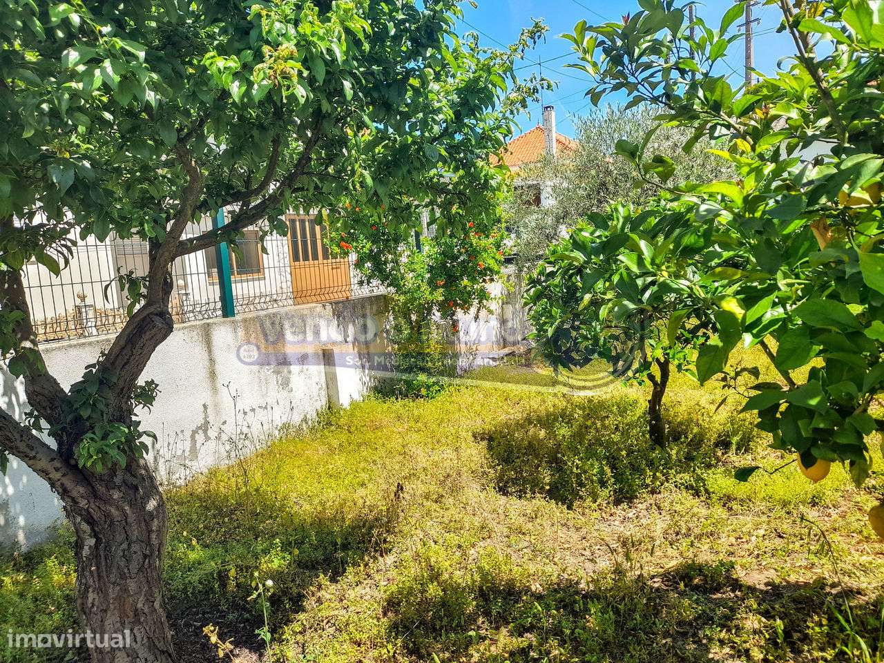 Terreno em Glória do Ribatejo (GLR025) - Grande imagem: 4/12