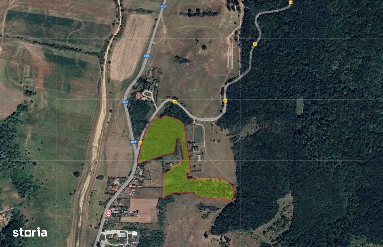 Teren extravilan padure 39.000 mp ~  Prunisor, Mehedinti-0