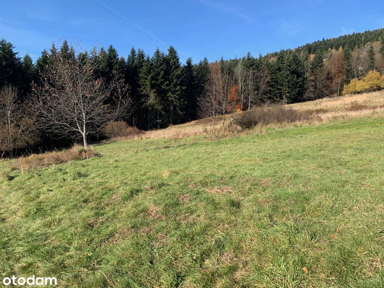 Piękna Działka Budowlana z Widokiem na Babią Górę-6