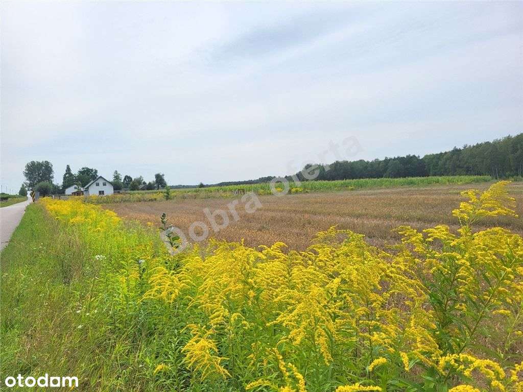 Oferta doskonała dla rodziny-3