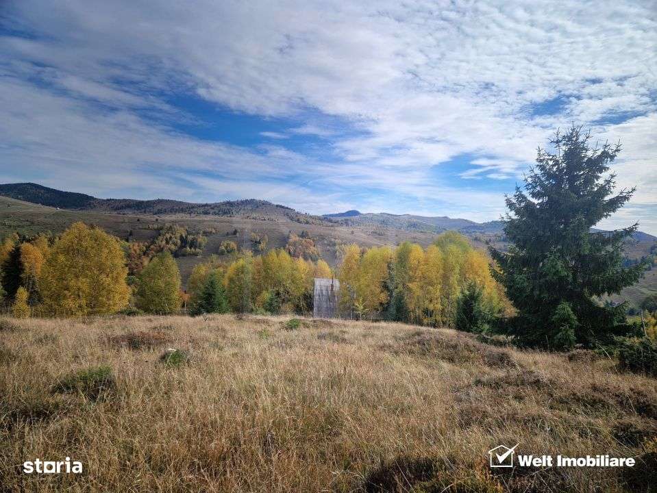 Teren de vanzare – Muntele Baisorii, 1000 mp, vedere spre rezervatia - Imagine principală: 4/9