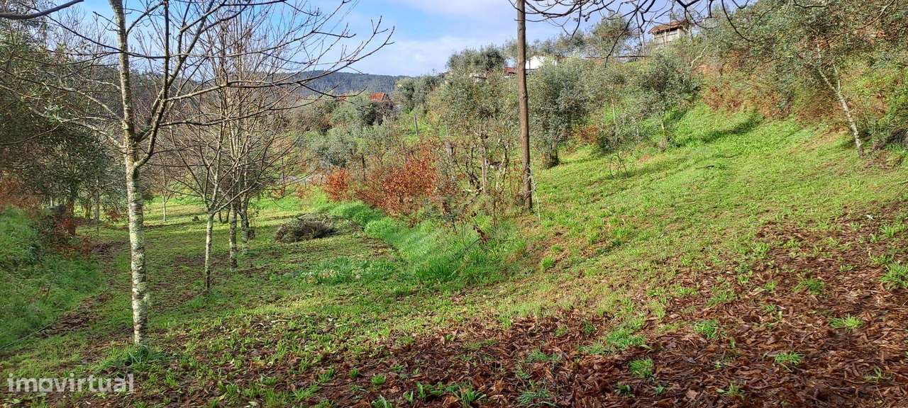 Charmosa Quinta em Castelo de Paiva-27