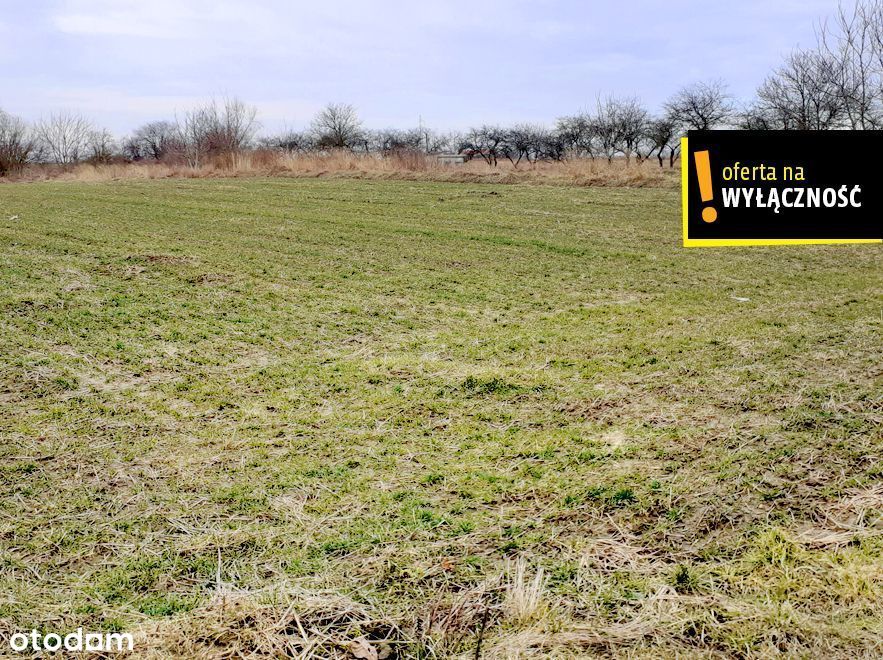 Działka gospodarstwo rolne 8,20 ha okolice Szydłow