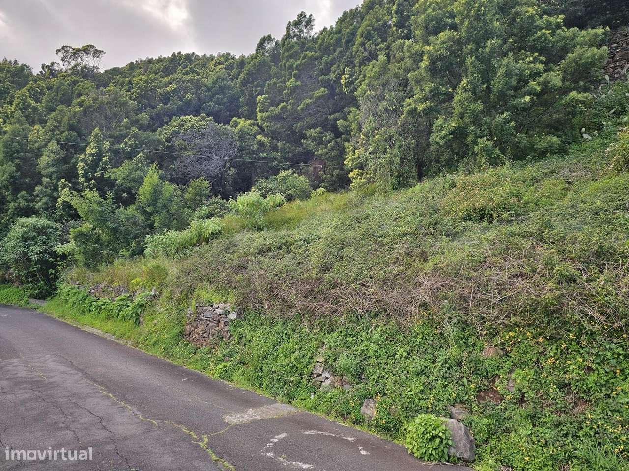 Terreno com projecto aprovado em Gaula - Grande imagem: 4/17