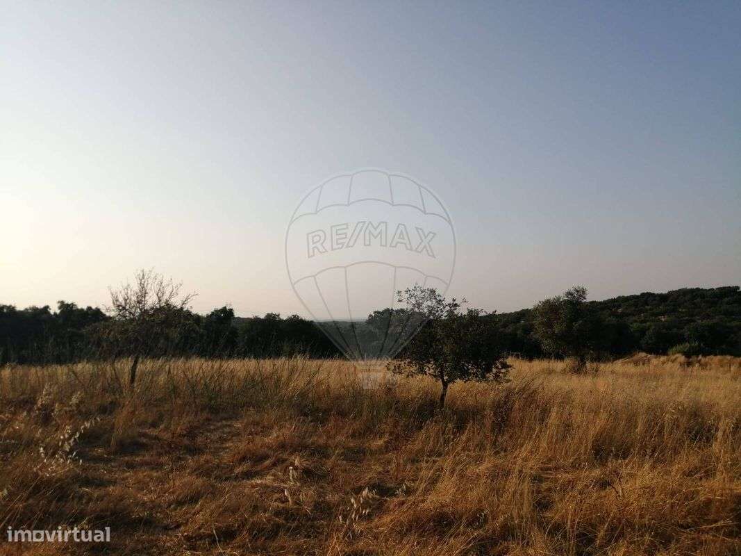 Quinta  para venda - Grande imagem: 5/7