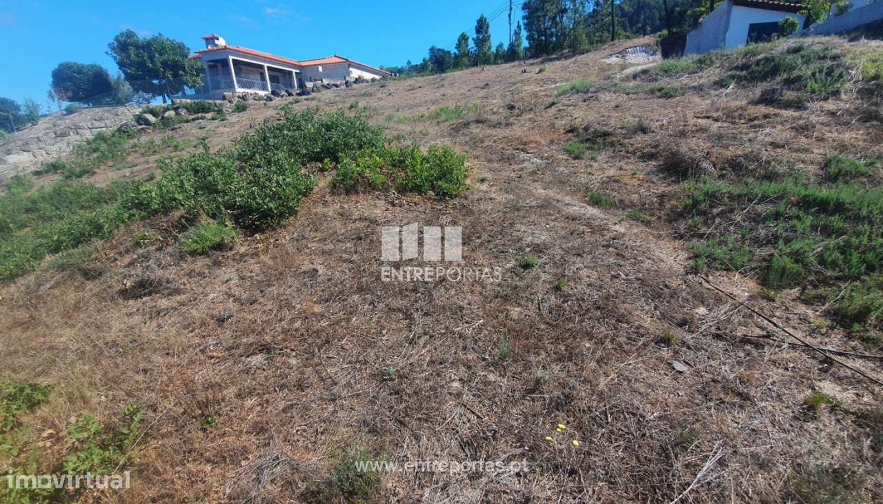 Venda Terreno com 1264 m2 e viabilidade de construção, São Simão, - Grande imagem: 3/30
