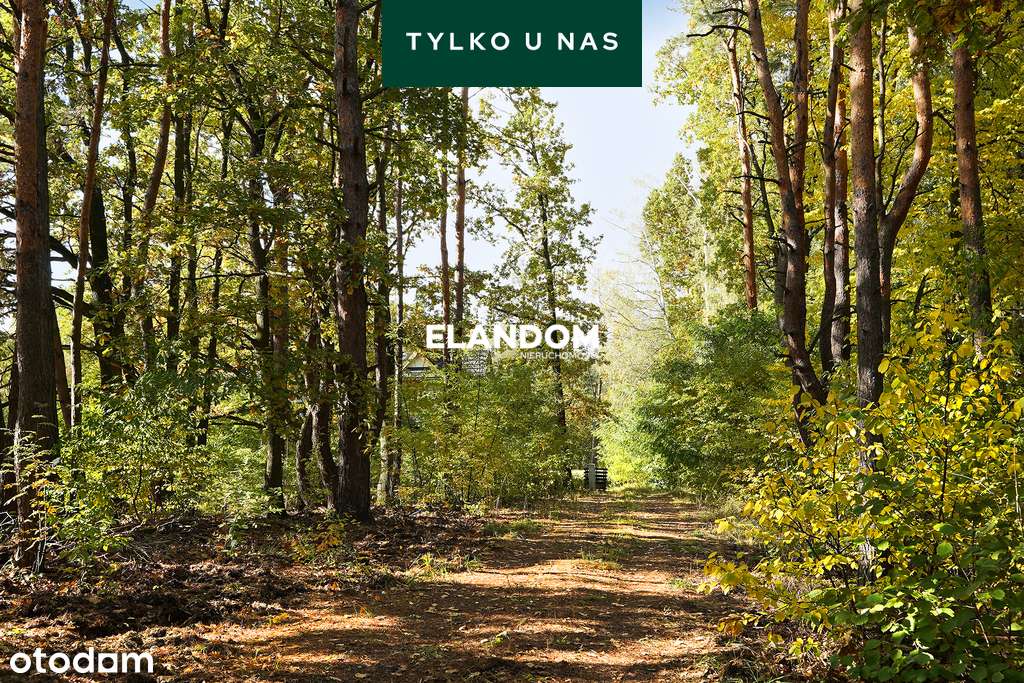 Rezydencja 375 m2 wśród sosen – Wawer, dzi. 2500-11