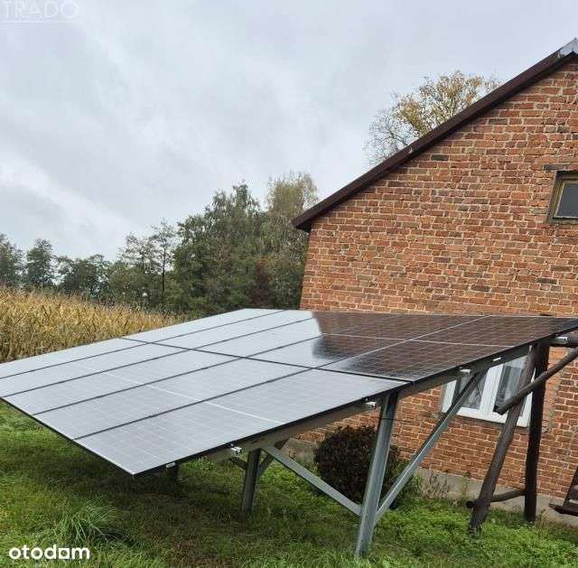 Gospodarstwo 6ha, Babiak, Krukowo-5