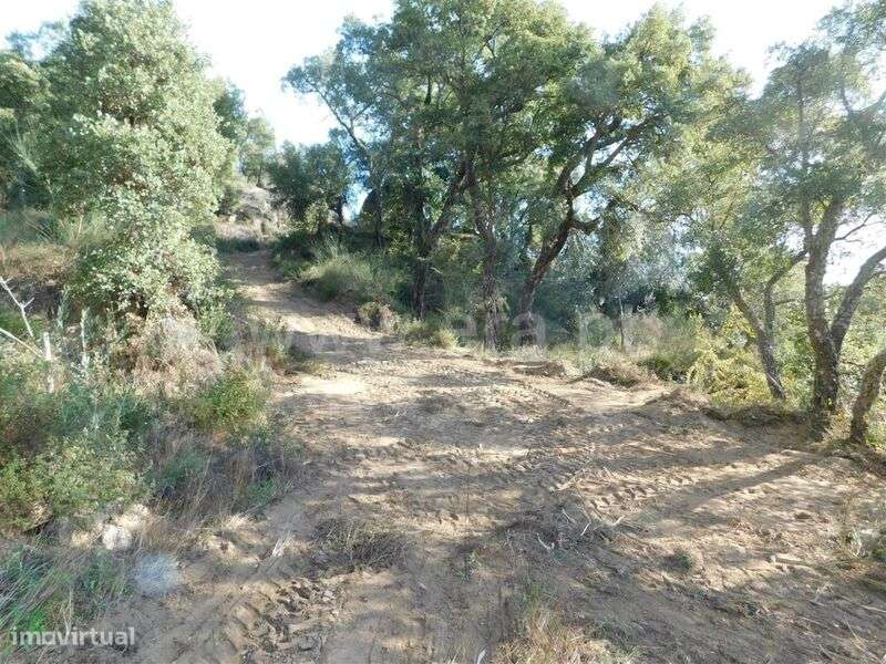 Terreno Rústico / Fundão, Pêro Viseu - Grande imagem: 4/9