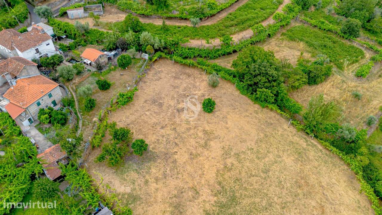 Terreno Para Construção  Venda em Ancede e Ribadouro,Baião-13