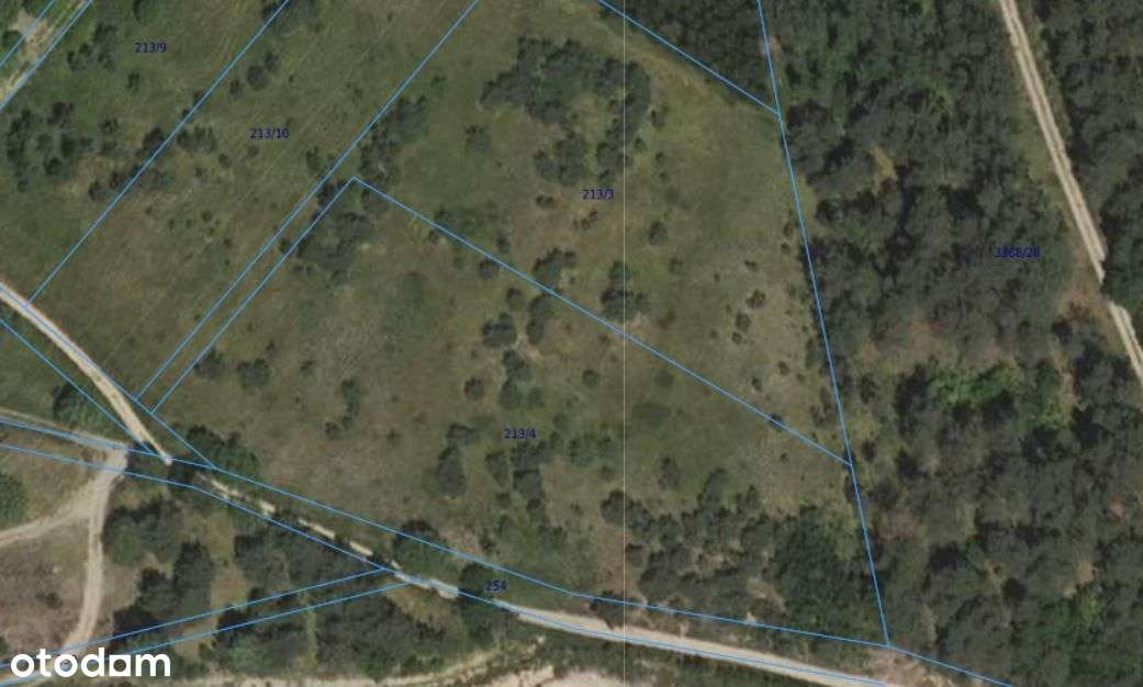 piękna działka Zdrojewo! - Pełny obrazek: 5/5