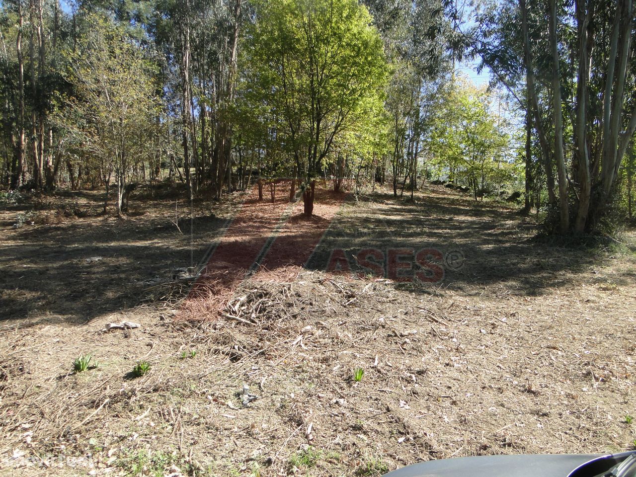 Terreno  Venda em Revelhe,Fafe