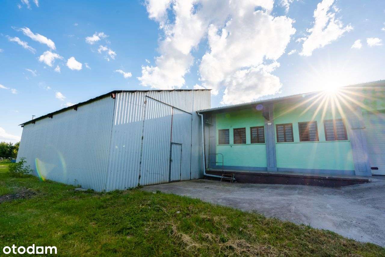 Budynek Handlowo-Magazynowy - Wilczyn / Konin - Pełny obrazek: 5/14