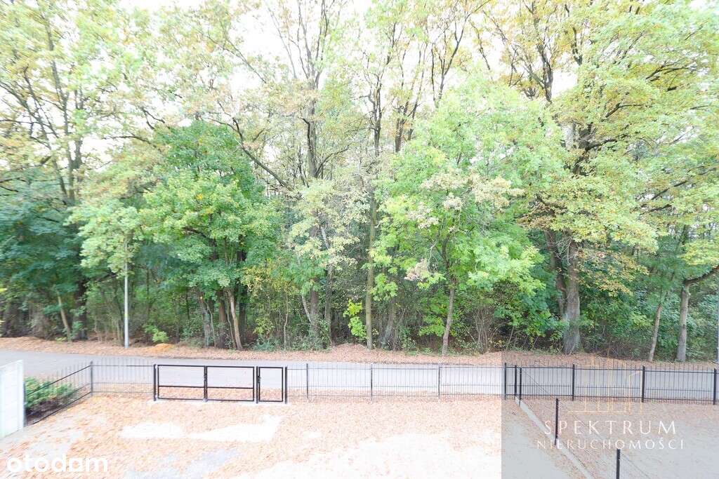 Bez prowizji, bez PCC. 145 m2 + działka 4,5ar-5