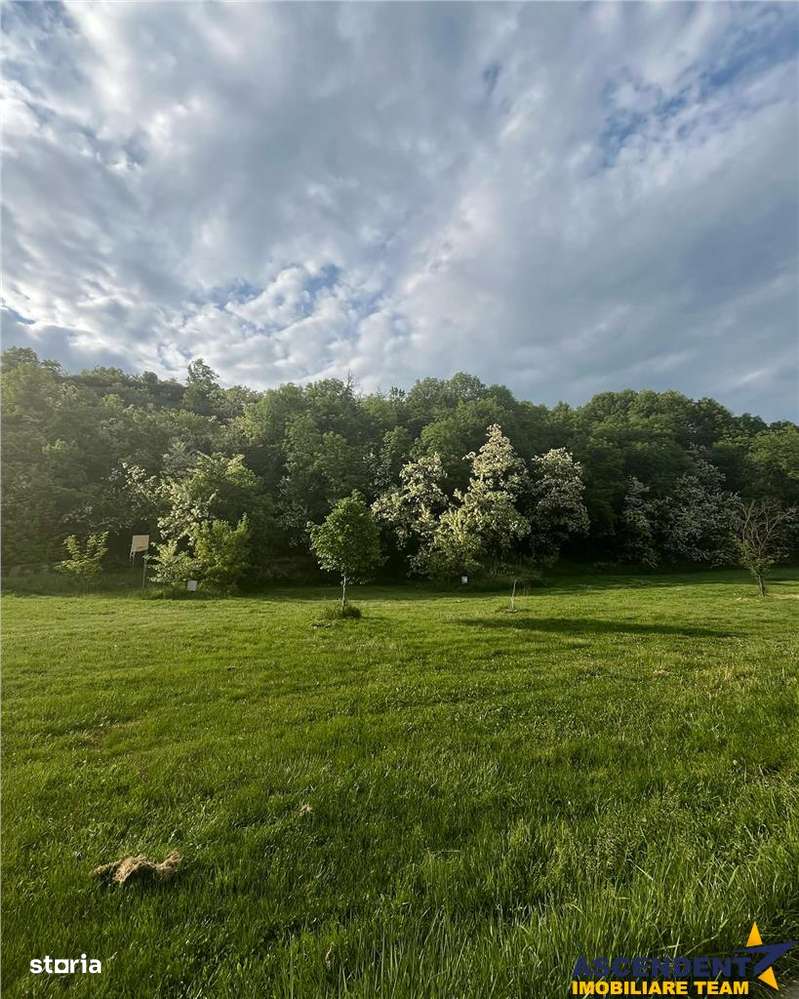 Transilvania Camping, domeniu de 14.400mp,Sanmarghita de Mures:2cladir-11