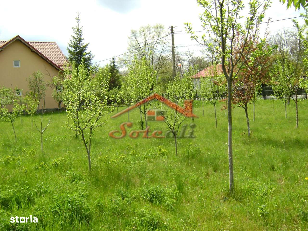 Teren de vanzare in Cornu 1183 mp-2