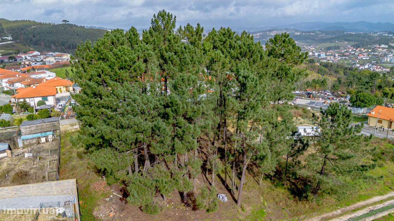 Terreno de Construção na rua Lamas de Couto, Fregim, Amarante-12