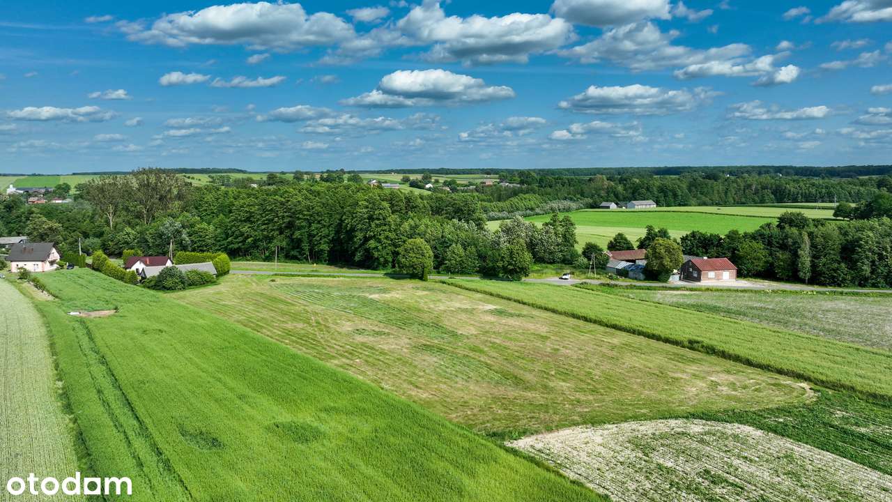 Bezpośrednio, MPZP, cisza, las– idealne pod Twój wymarzony dom => FILM - Pełny obrazek: 3/14